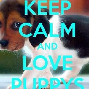 Meet your Posher, Langston